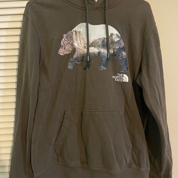 The North Face Brown and Black Hoodie - Picture 1 of 2